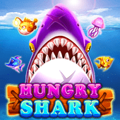 KA0428 Hungry Shark