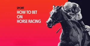 Overview of Horse Racing Betting