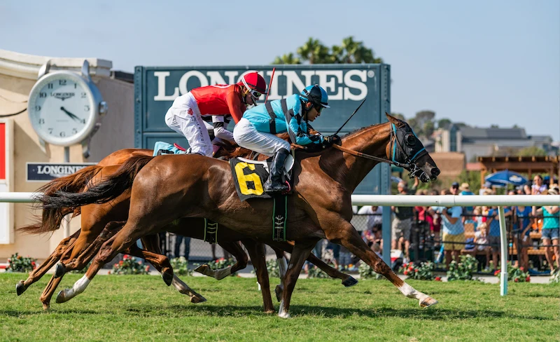 Horse Racing Betting Guide for Beginners