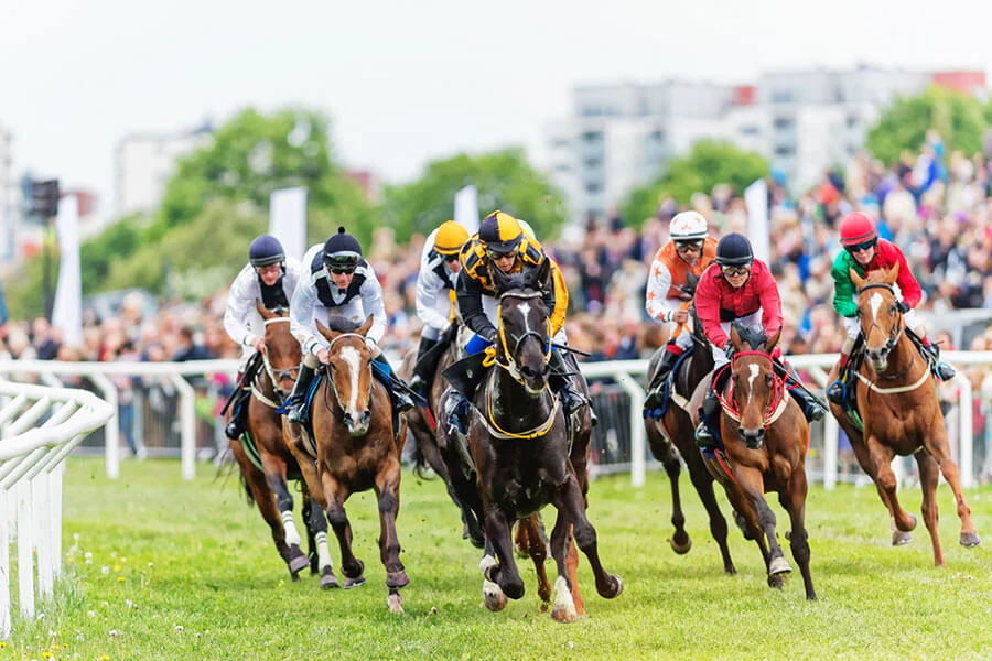 Betting on a horse race